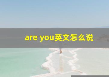 are you英文怎么说